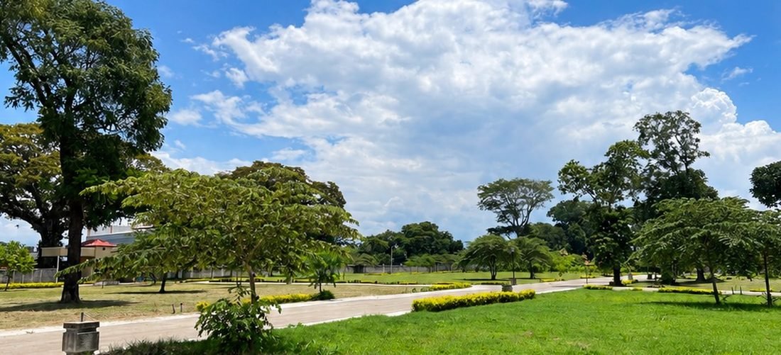 Calles internas y áreas verdes del Condominio La Ceiba