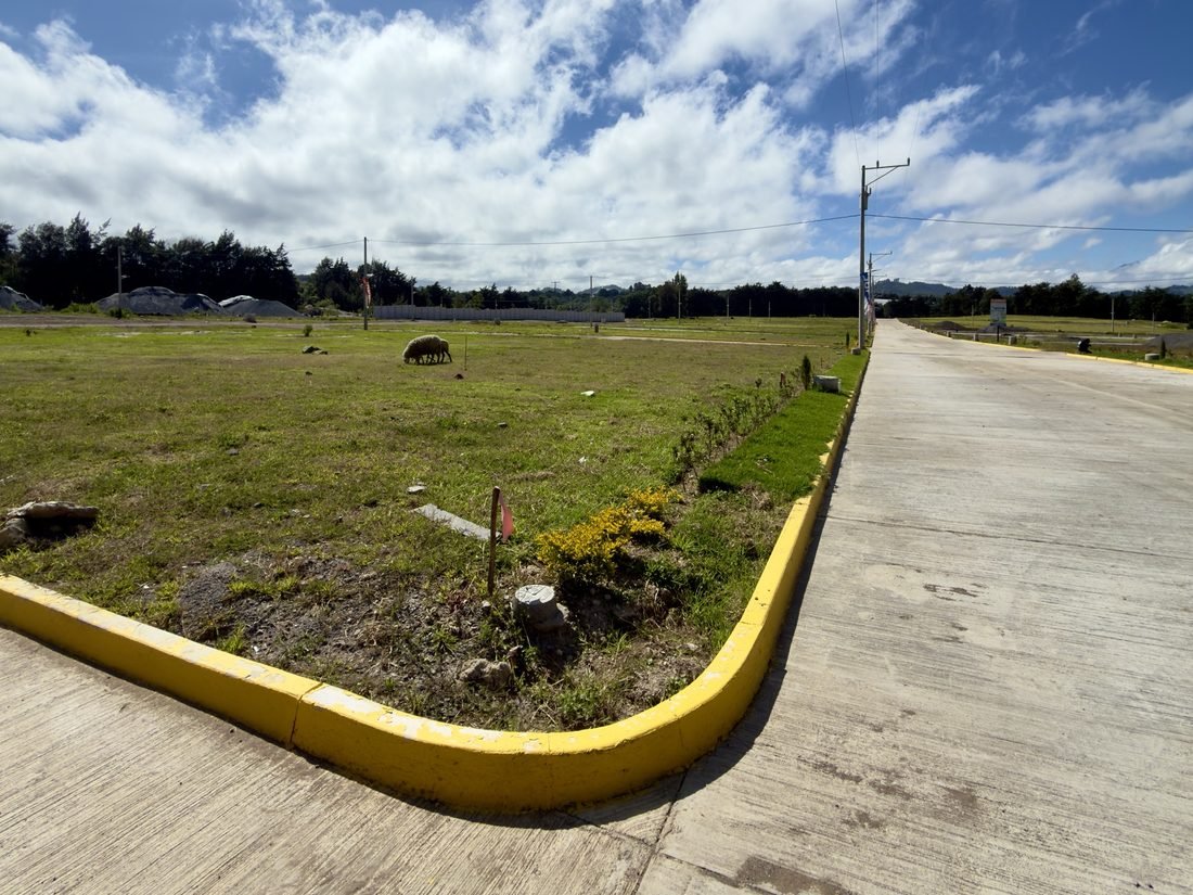 Calle de concreto con bordillo y lotes con grama en Buenaventura Tecpán